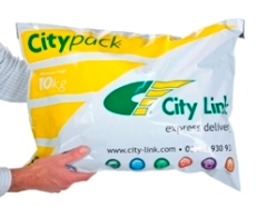 A Reflex Express CityPack Envelope
